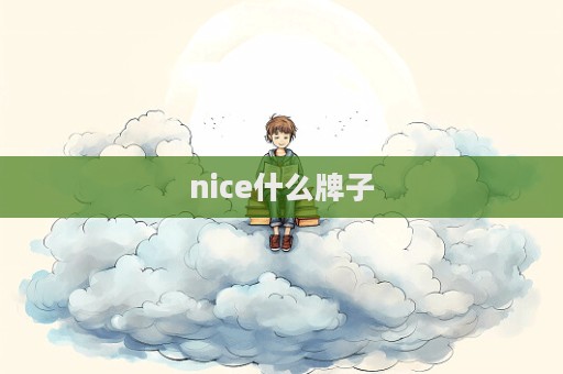 nice什么牌子  第1張