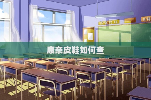 康奈皮鞋如何查