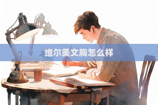 維爾美文胸怎么樣