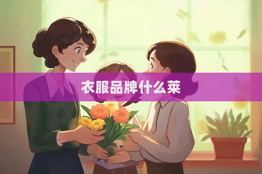 衣服品牌什么萊