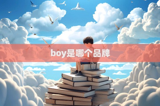 boy是哪個品牌  第1張