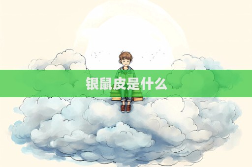 銀鼠皮是什么