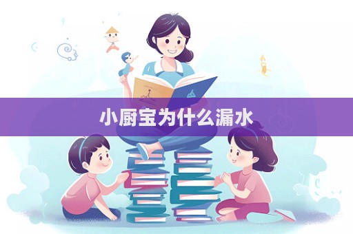 小廚寶為什么漏水  第1張