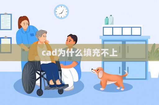 cad為什么填充不上  第1張