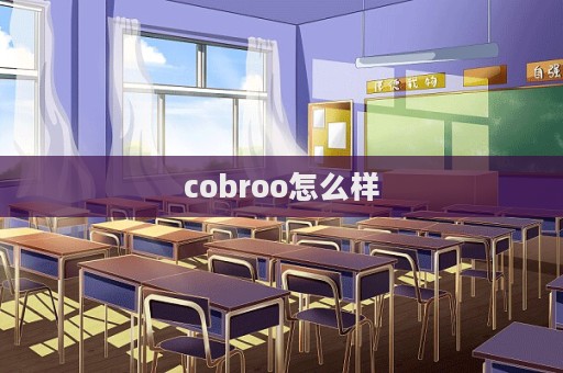 cobroo怎么樣