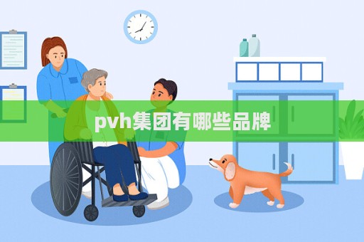 pvh集團有哪些品牌  第1張