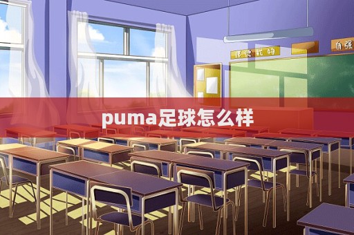 puma足球怎么樣  第1張