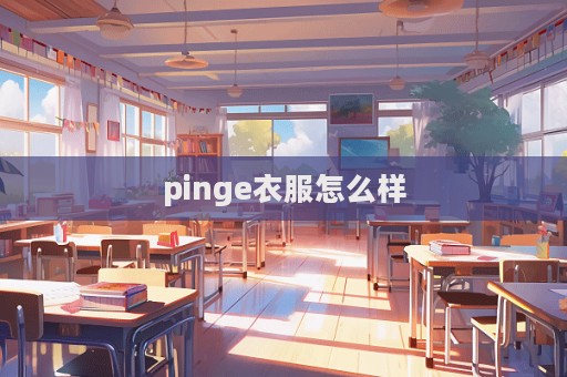 pinge衣服怎么樣  第1張