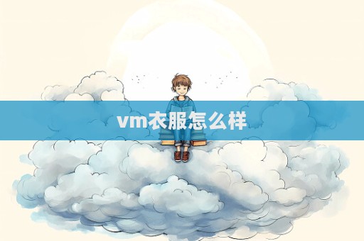 vm衣服怎么樣  第1張