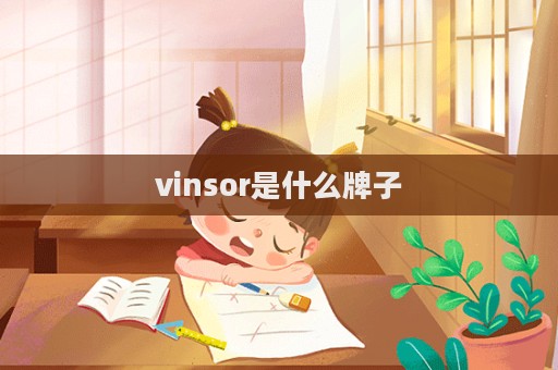 vinsor是什么牌子  第1張