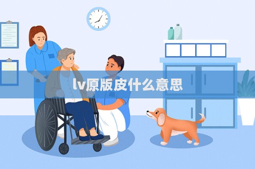 lv原版皮什么意思