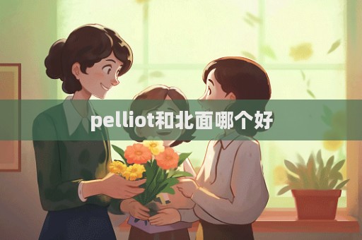 pelliot和北面哪個好