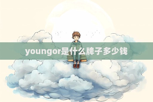 youngor是什么牌子多少錢  第1張