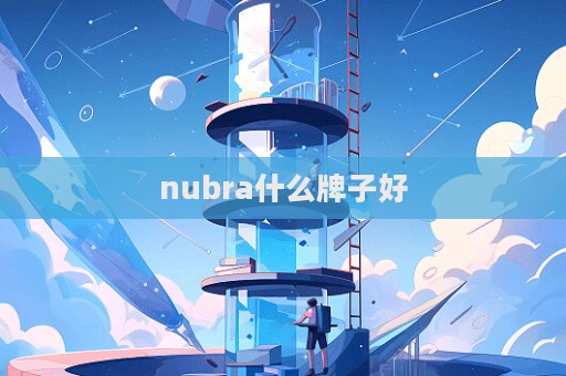 nubra什么牌子好  第1張