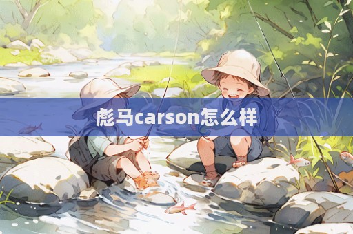 彪馬carson怎么樣