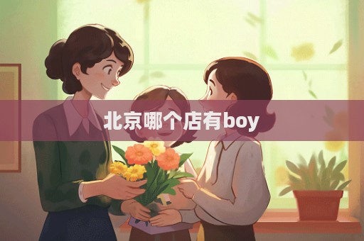 北京哪個店有boy