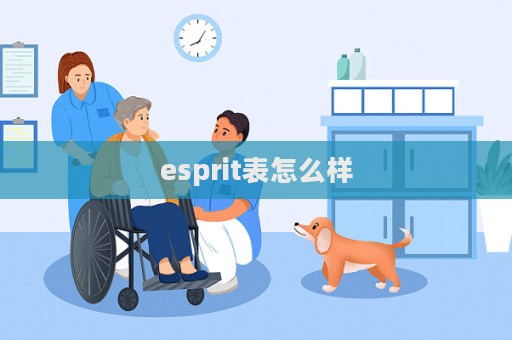 esprit表怎么樣