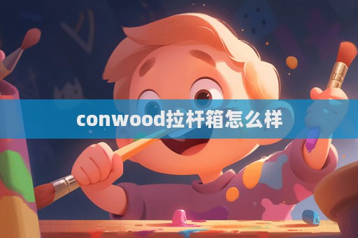 conwood拉桿箱怎么樣  第1張