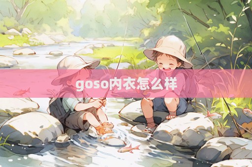 goso內(nèi)衣怎么樣  第1張