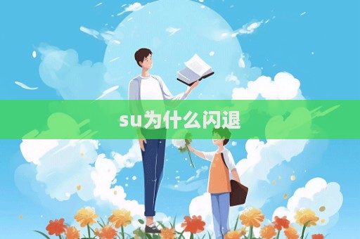 su為什么閃退  第1張