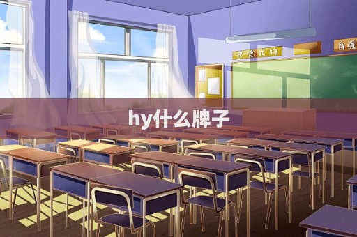 hy什么牌子  第1張