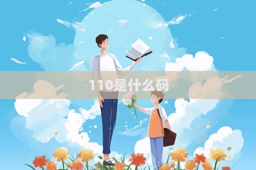 110是什么碼  第1張