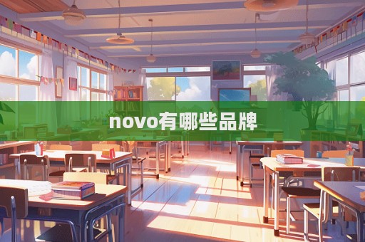 novo有哪些品牌  第1張