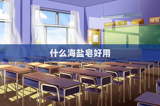 什么海鹽皂好用